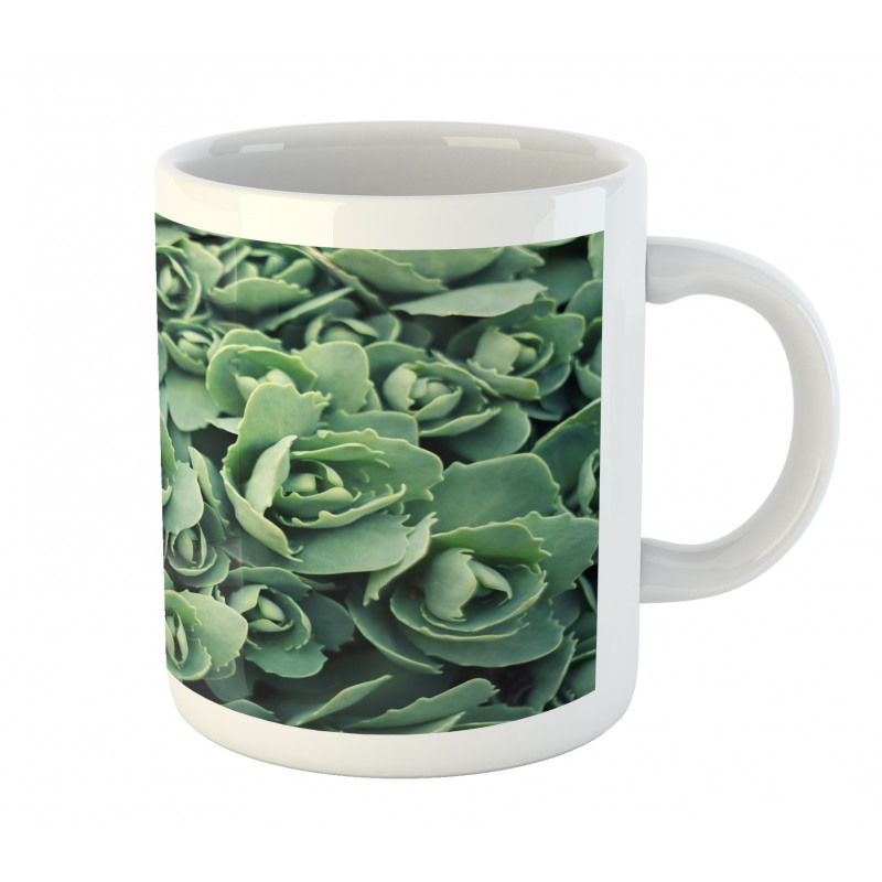 Macro Blooming Leaves Mug