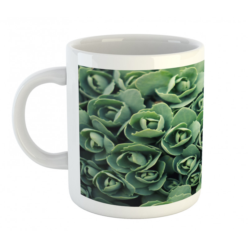 Macro Blooming Leaves Mug