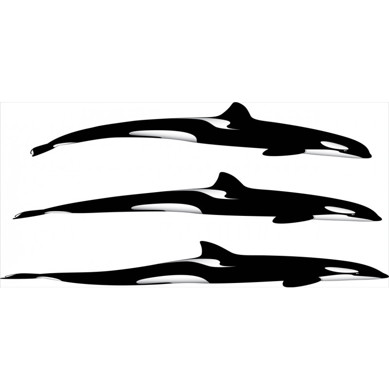 Orca Killer Whales Mug