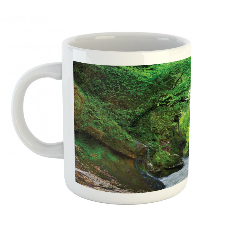 Gachedili Canyon Landscape Mug