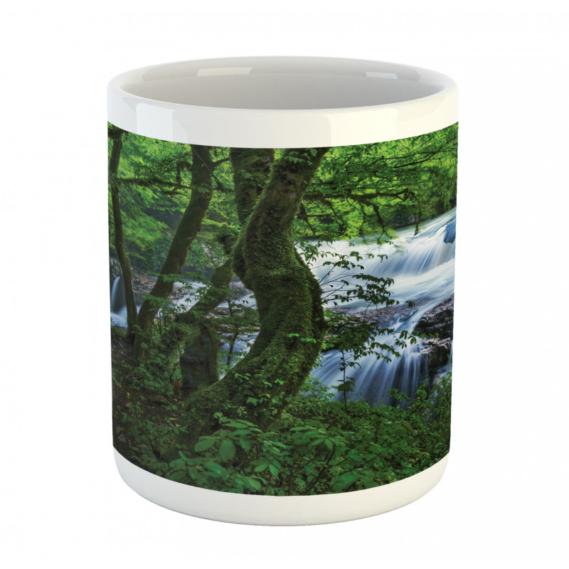 Canyon Woods Scene Mug