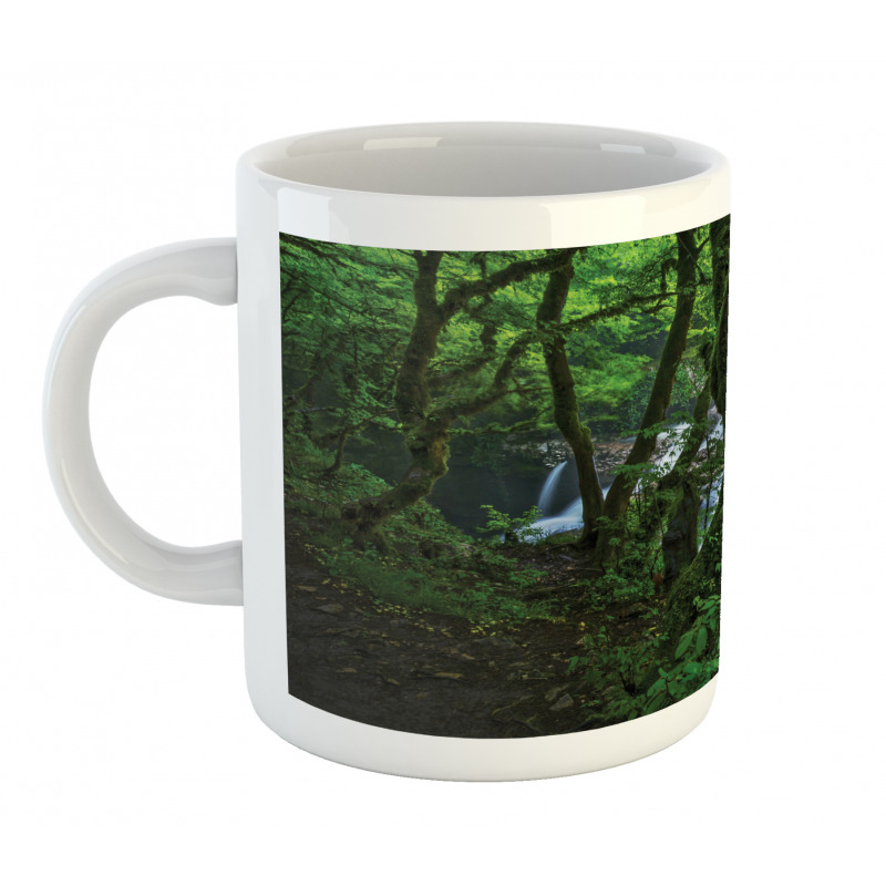 Canyon Woods Scene Mug