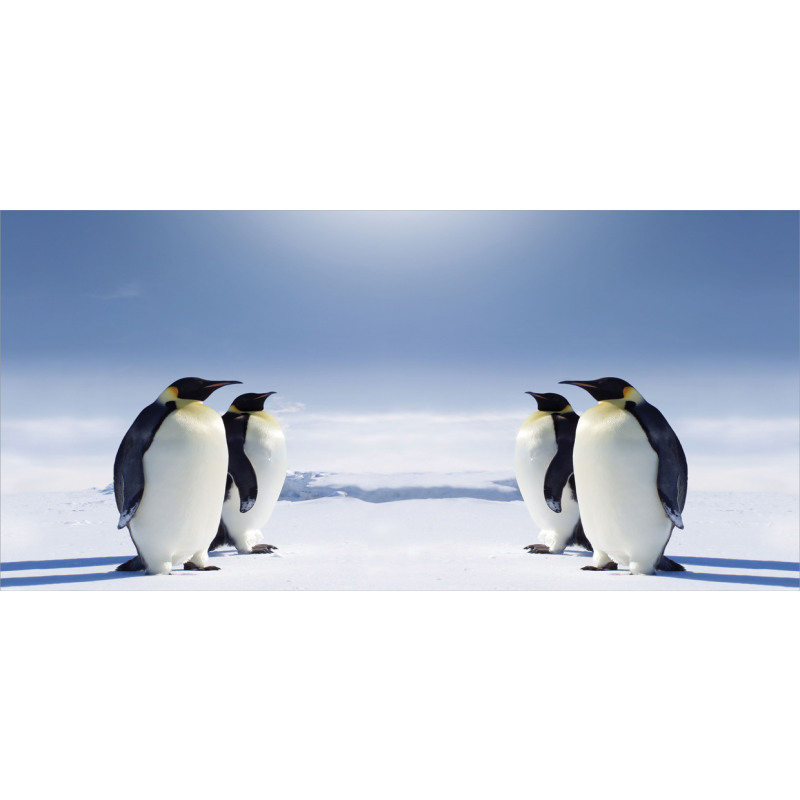 Penguins in Antarctica Mug