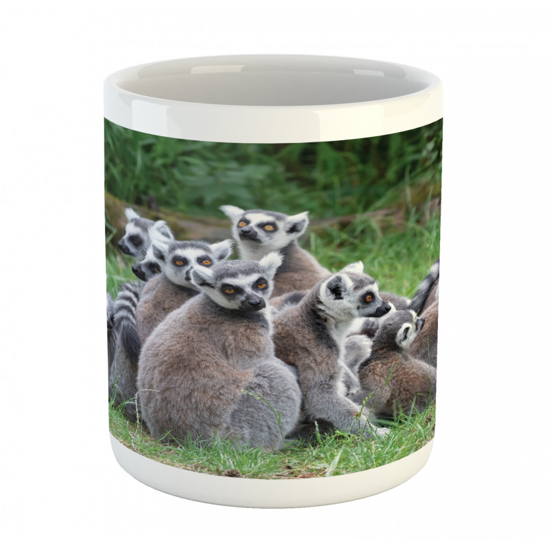 Ring Tailed Madagascar Monkey Mug