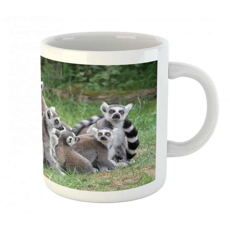 Ring Tailed Madagascar Monkey Mug