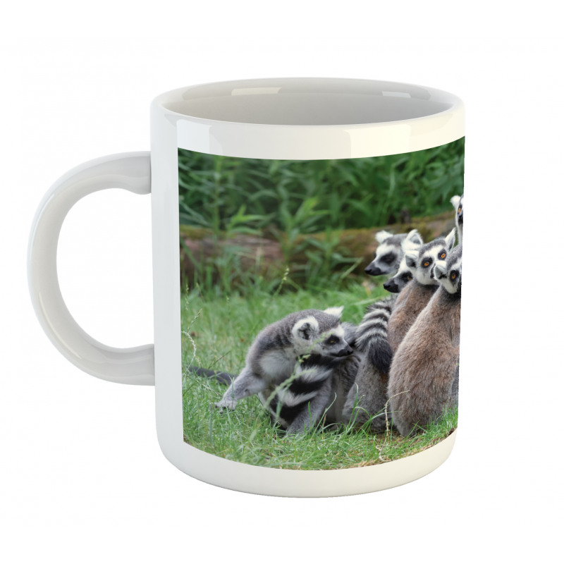 Ring Tailed Madagascar Monkey Mug