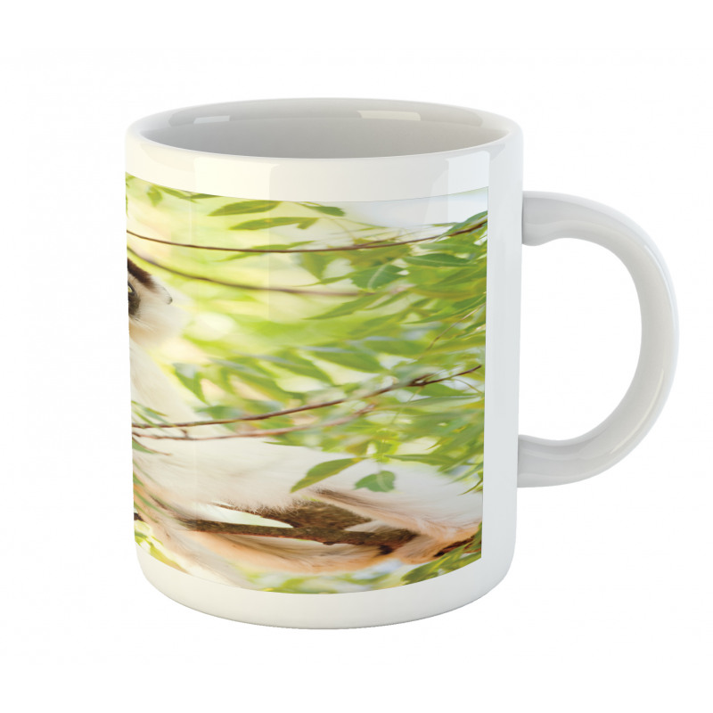 Wild Verreaux's Sifaka Photo Mug