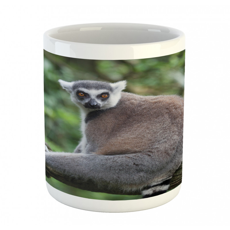 Photo of Madagascar Mammal Mug