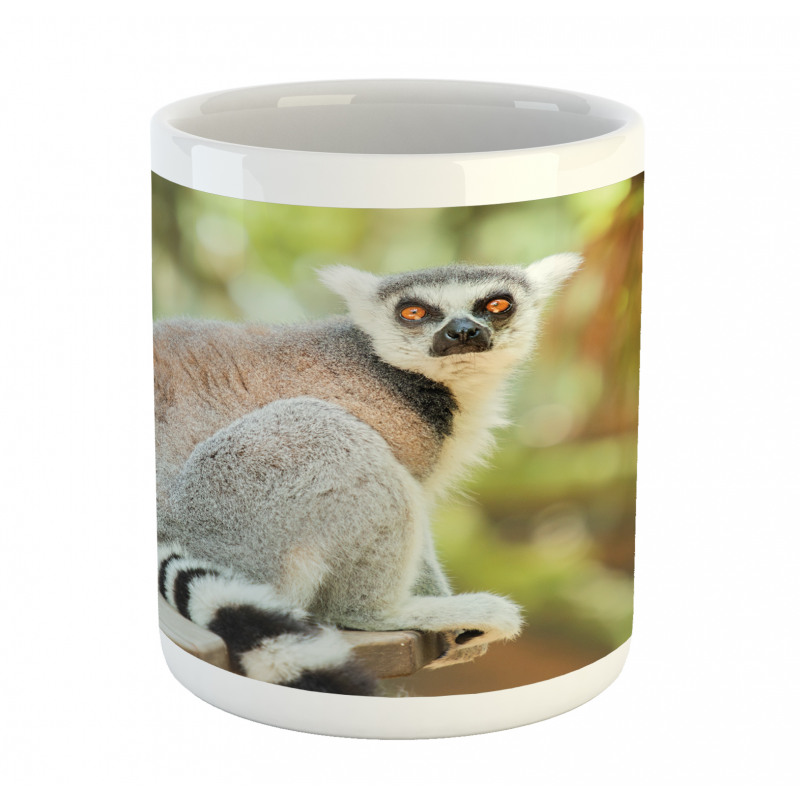 Aperture Photo Mammal Animal Mug