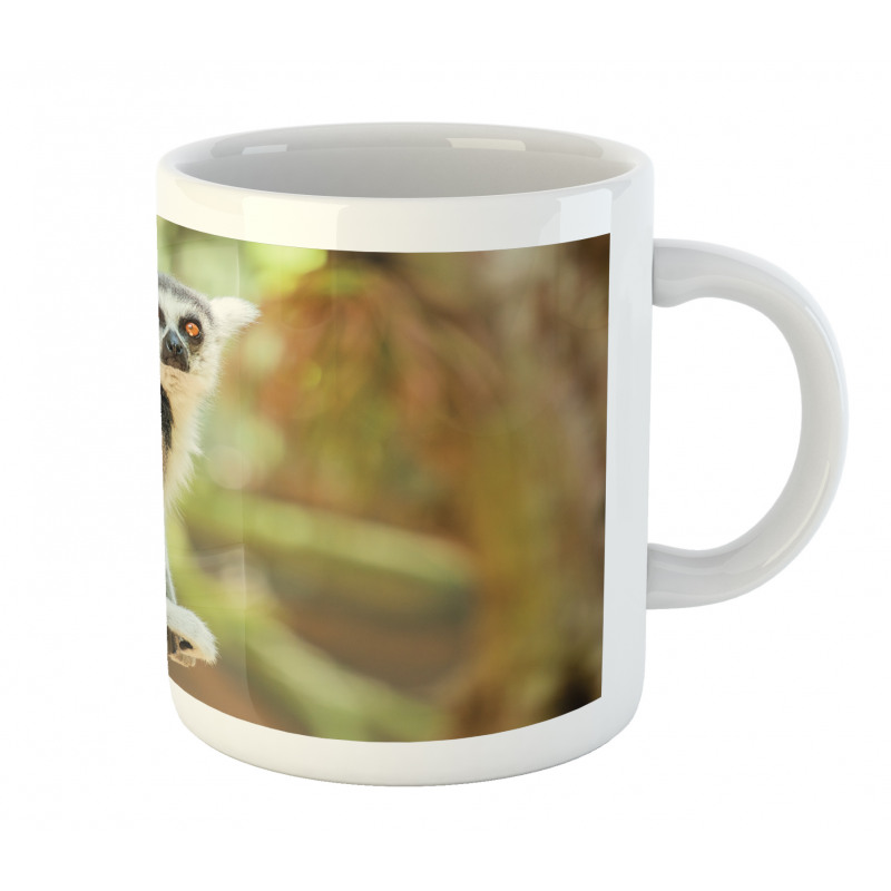 Aperture Photo Mammal Animal Mug