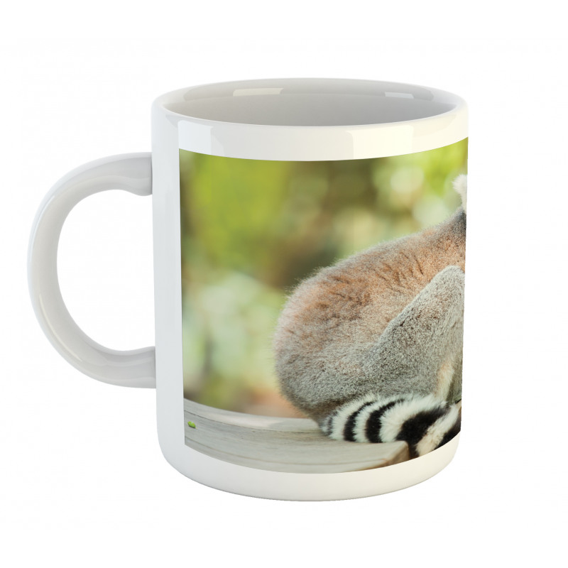 Aperture Photo Mammal Animal Mug