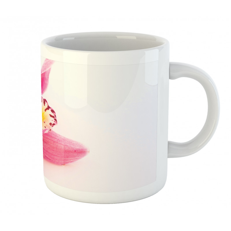 Close up Orchids View Mug