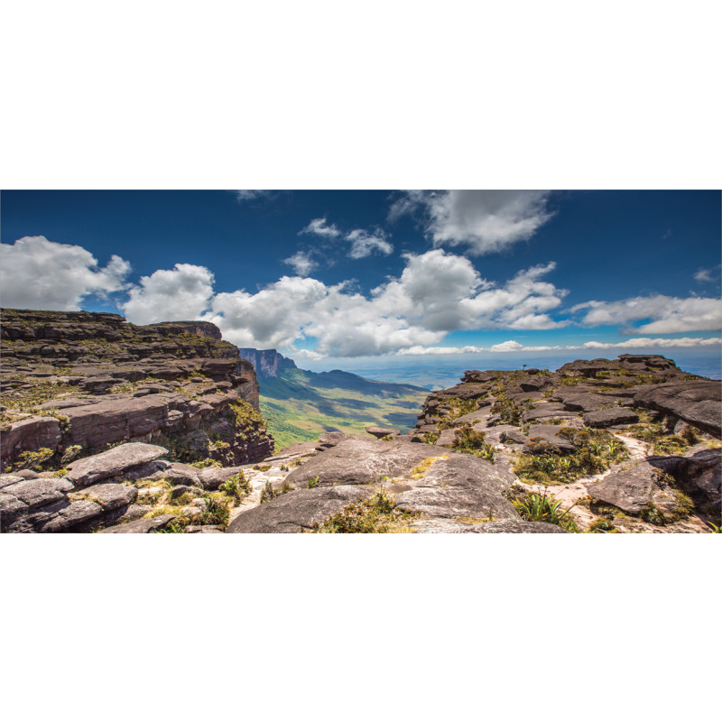 High Scene of Roraima Mug