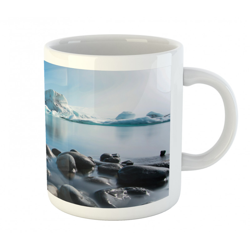 Arctic Environment Scene Mug