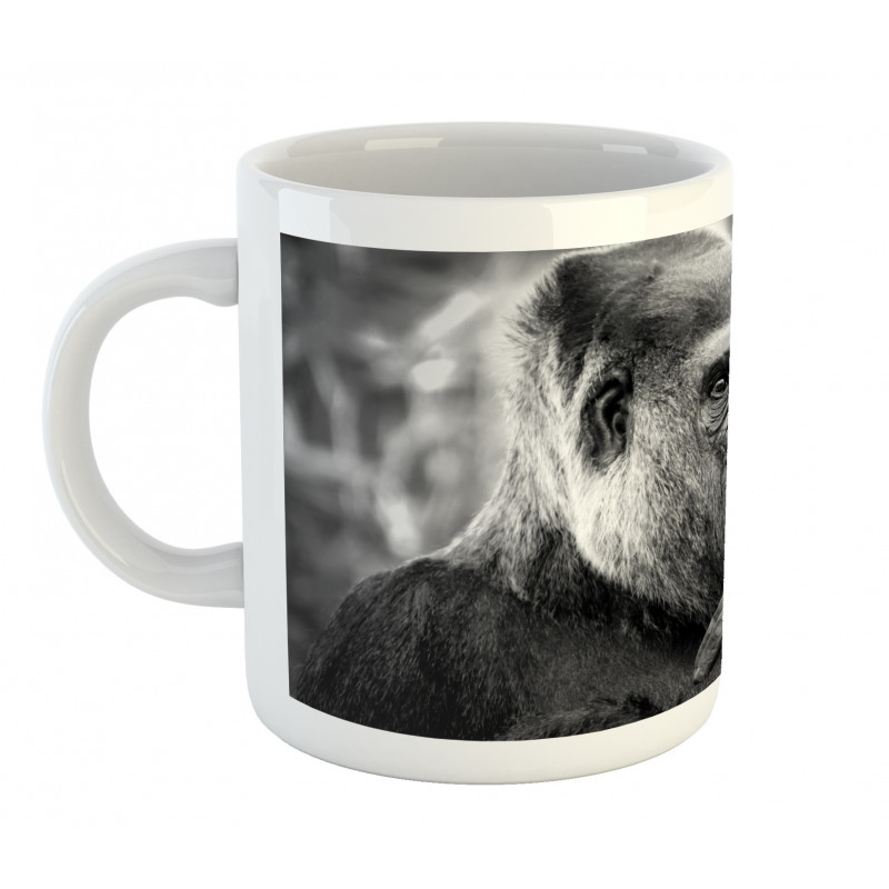 Close up Shot Ape Animal Mug