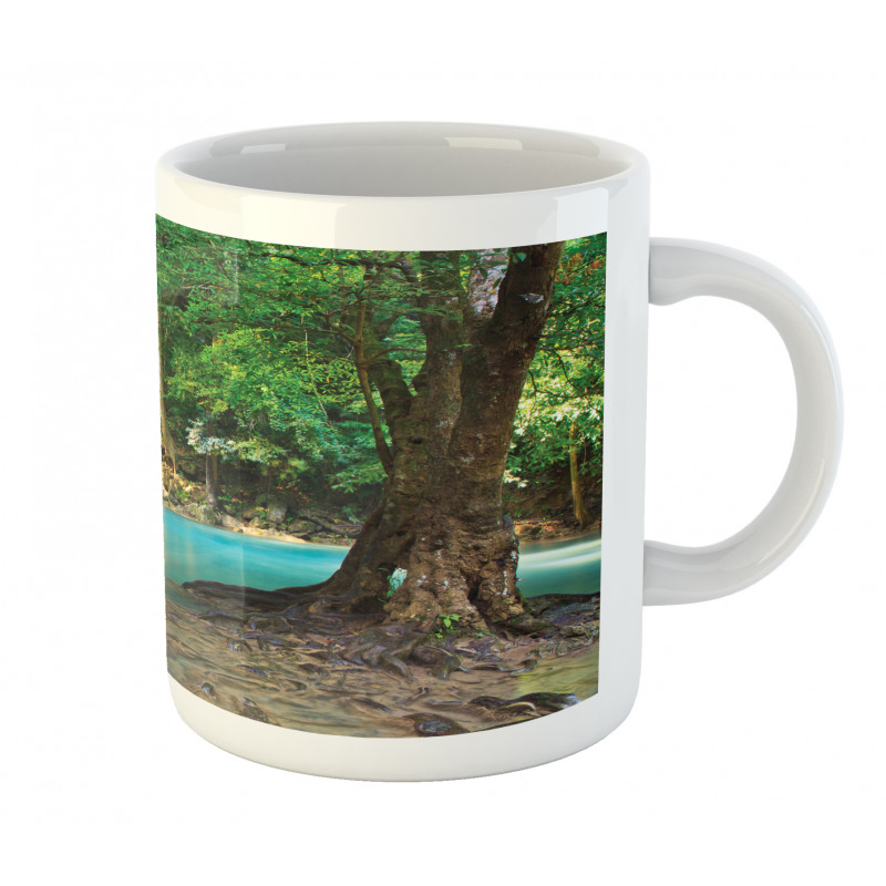 Asia Thailand Jungle Trees Mug