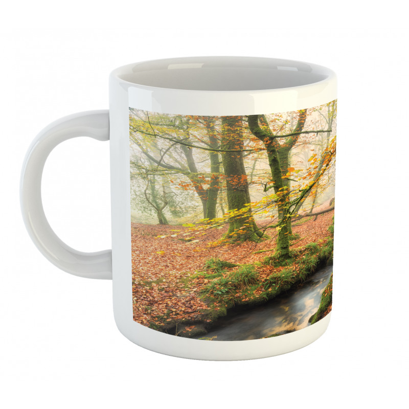 Misty Woods Cornwall Mug