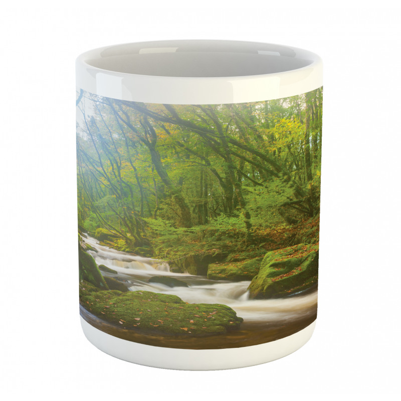 Forest at Golitha Falls Mug