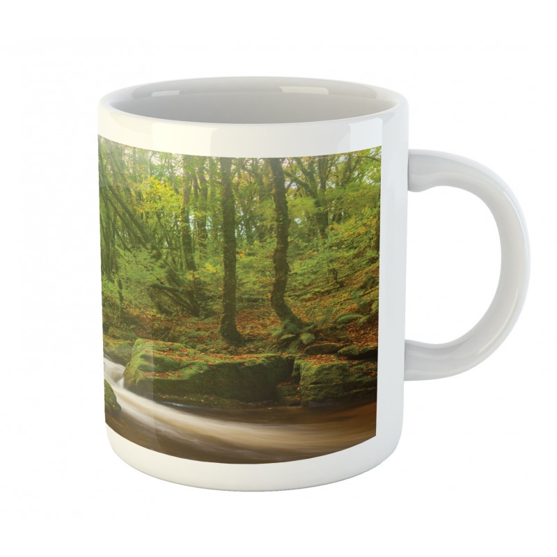 Forest at Golitha Falls Mug