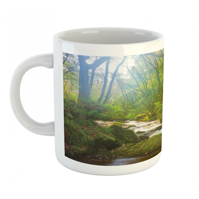 Forest at Golitha Falls Mug