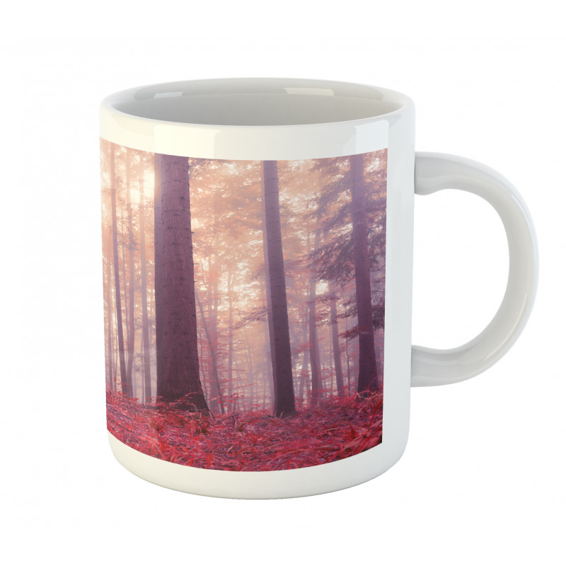 Trees Foggy Sunlight Mug