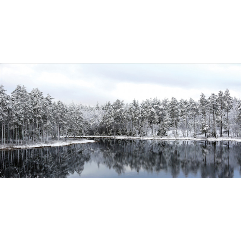 Trees in Cold Day Lake Mug