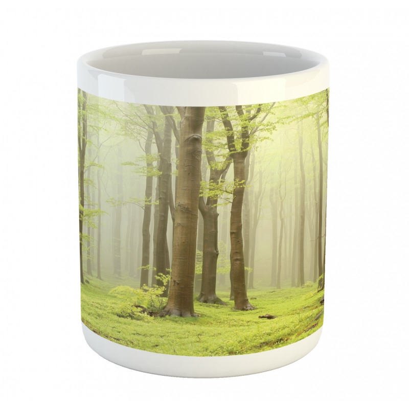 Misty Beech Forest Photo Mug