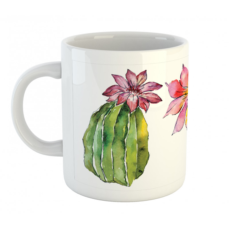 Succulents Mug