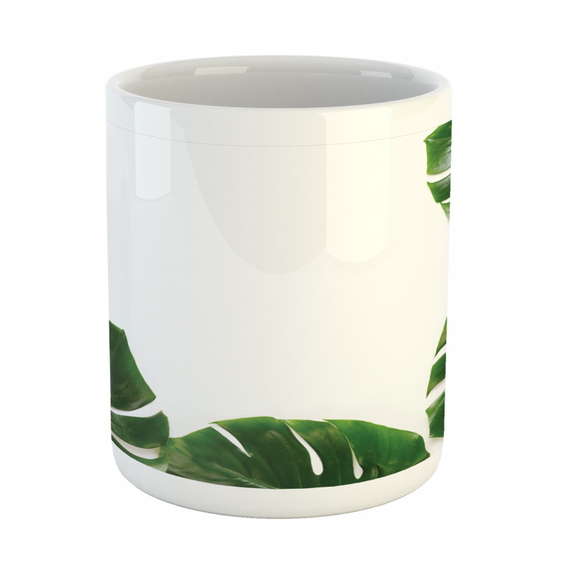 Swiss Cheese Plant Mug