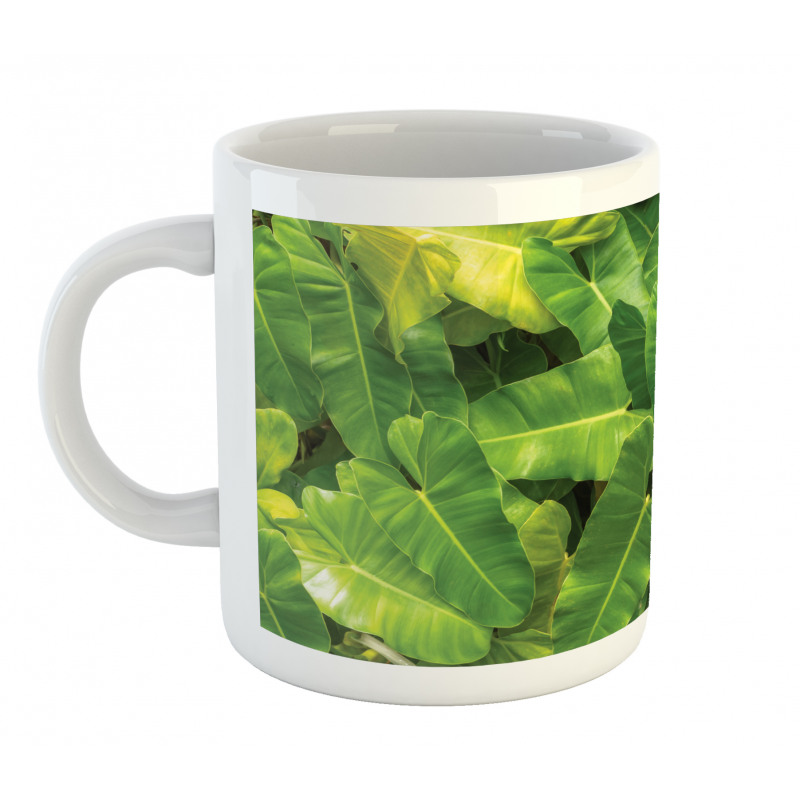 Photo of Tropic Botany Mug