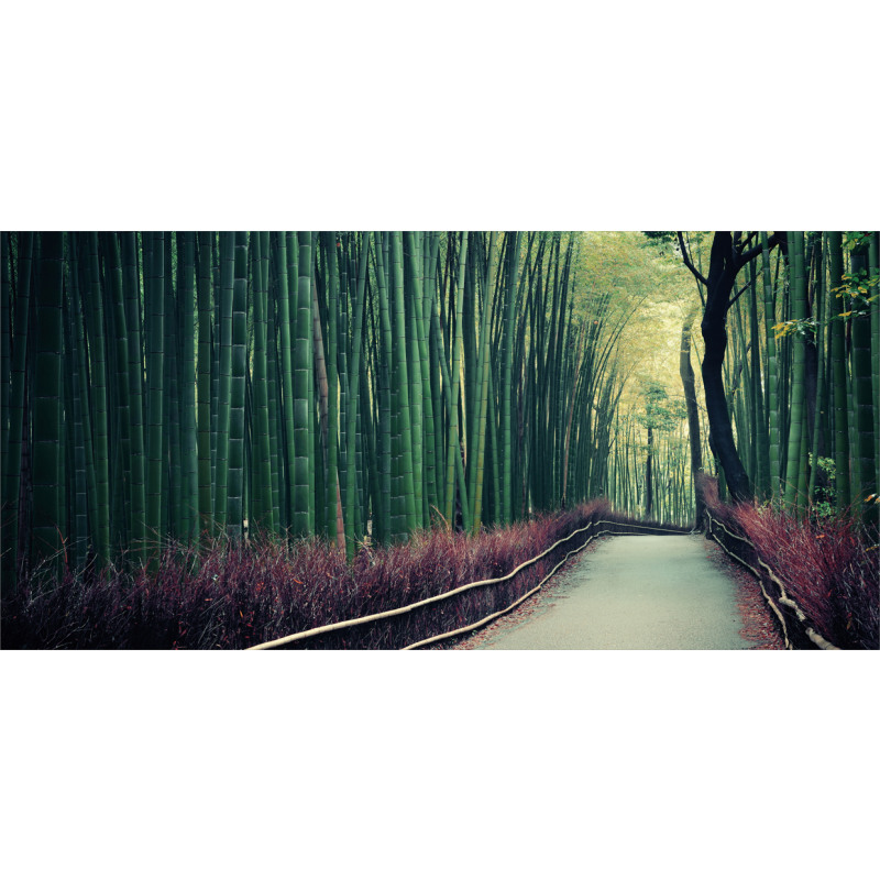 Bamboo Grove in Arashiyama Mug