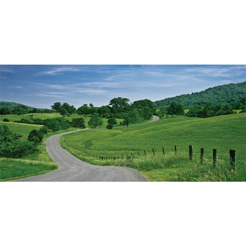 Idyllic Road Forest Mug