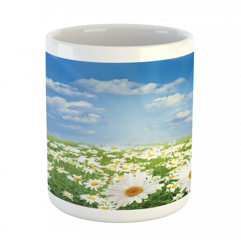 Daisy Spring Meadow Mug