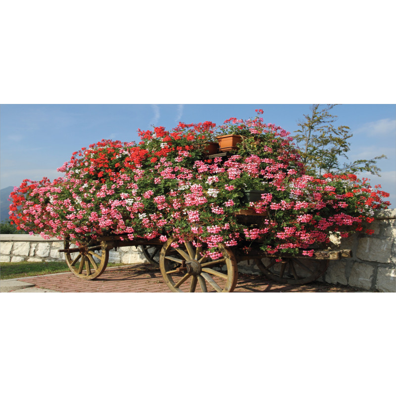 Old Wagon with Flowers Mug