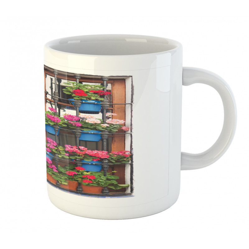 Flower Pots on Old Window Mug