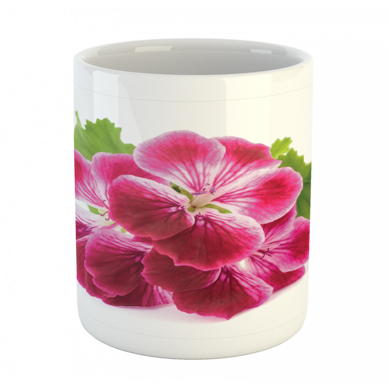 Single Flower Close Up Mug