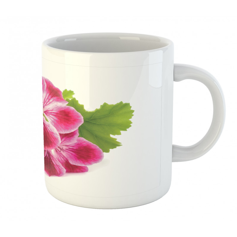 Single Flower Close Up Mug