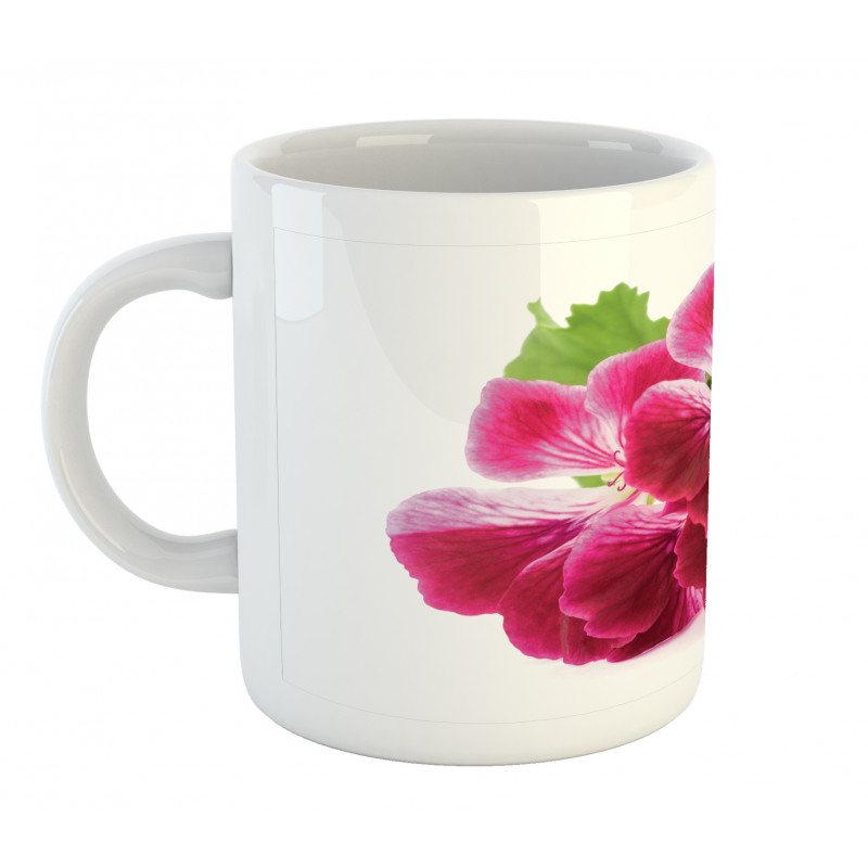 Single Flower Close Up Mug