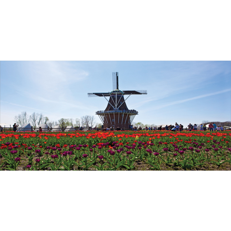 Windmill Photo on Tulip Field Mug