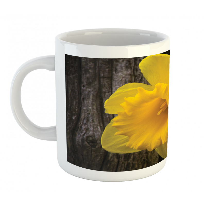 Image of Trumpet Daffodil Mug