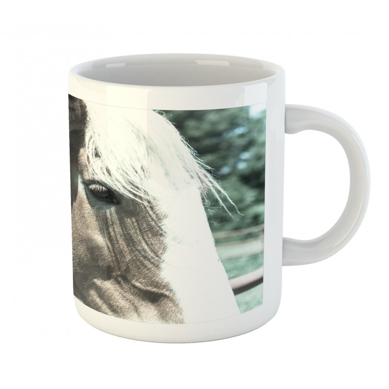 Draft Horse from Netherlands Mug