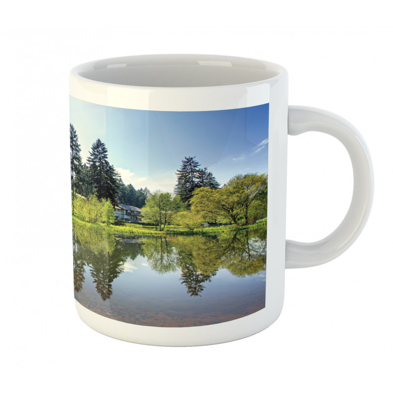 Scenic View Countryside Mug