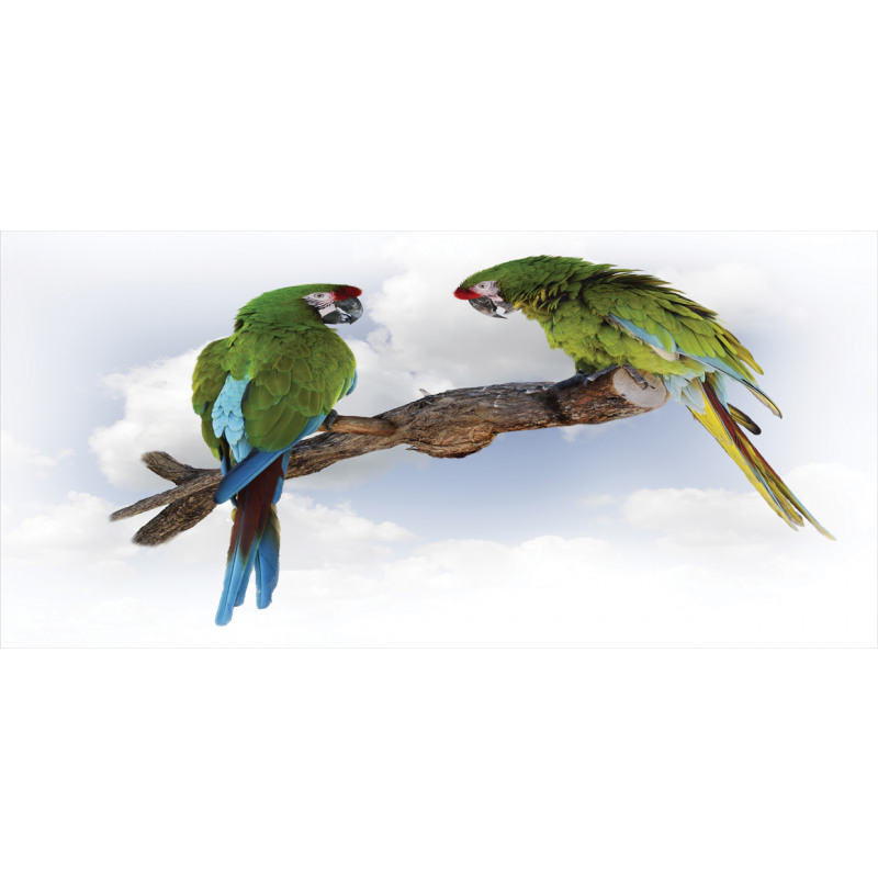 2 Parrot Macaw Bird Mug