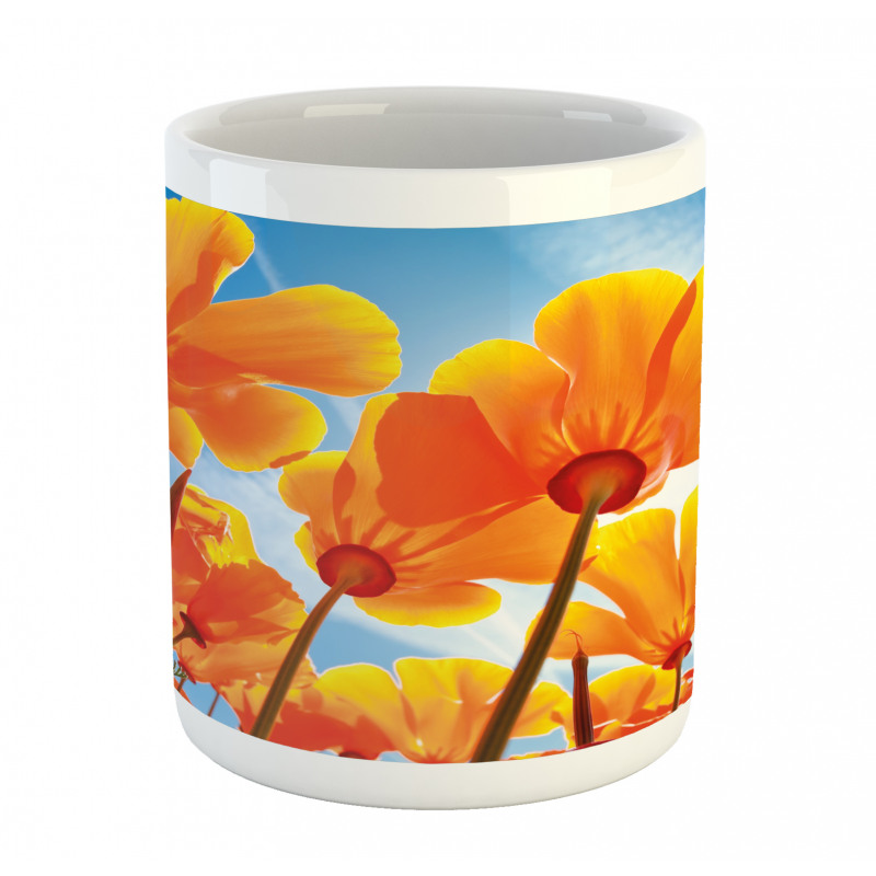 Petals Tilt Shot and Sky Mug