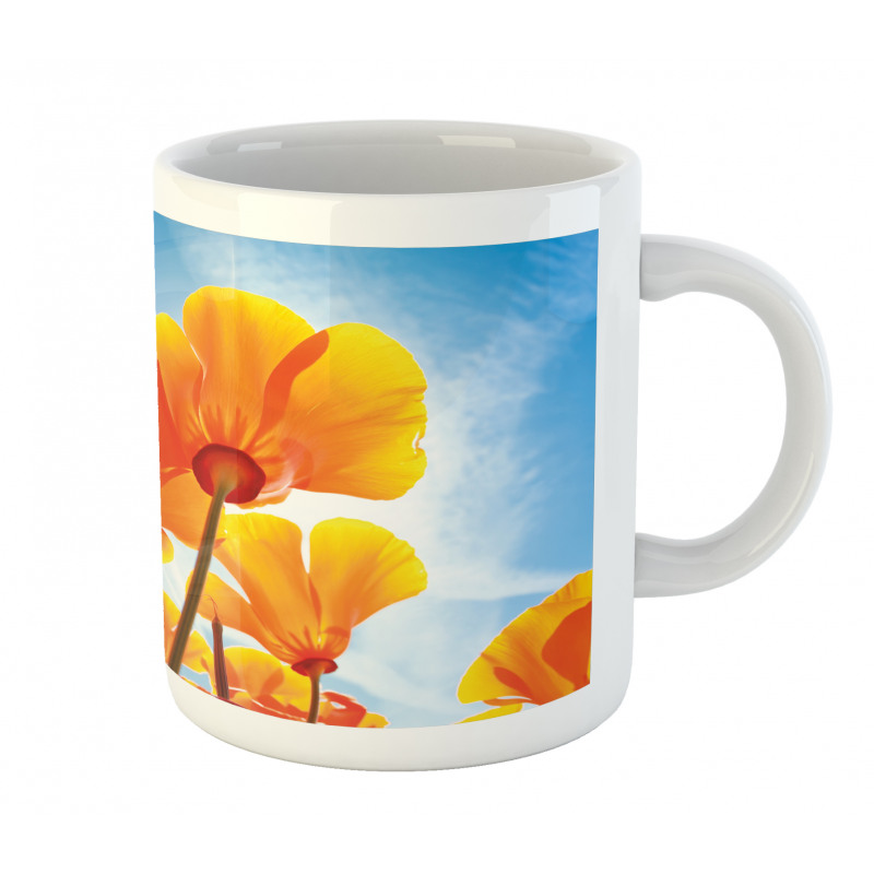 Petals Tilt Shot and Sky Mug