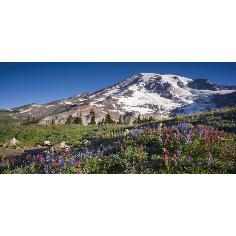 Spring Mt. Rainier Photo Mug