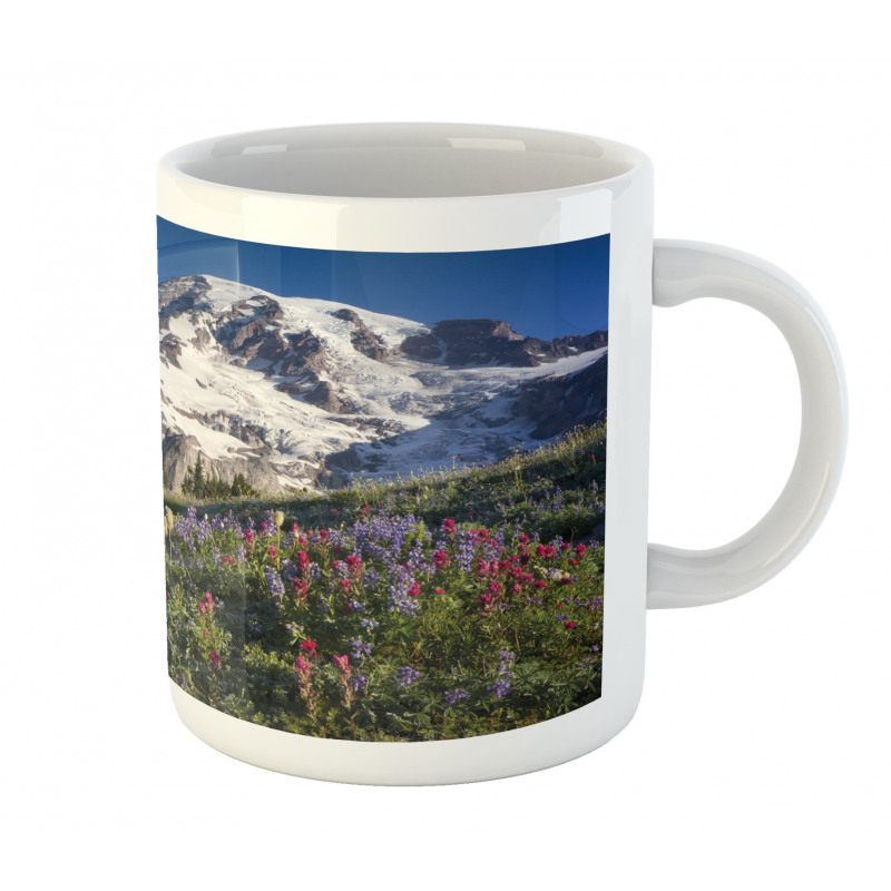 Spring Mt. Rainier Photo Mug