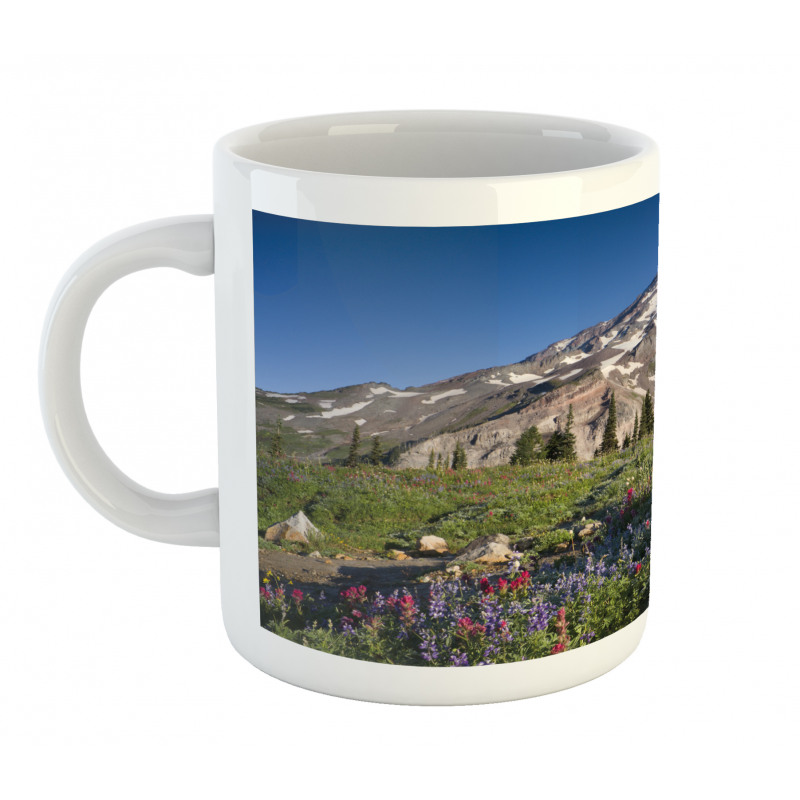 Spring Mt. Rainier Photo Mug