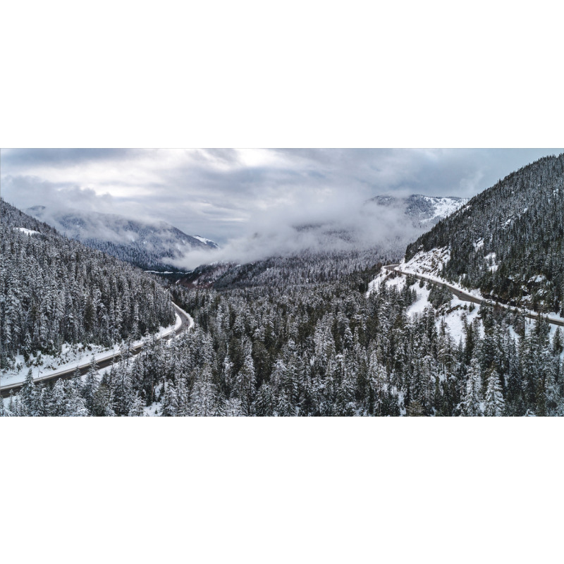 Highway in Winter Forest Mug