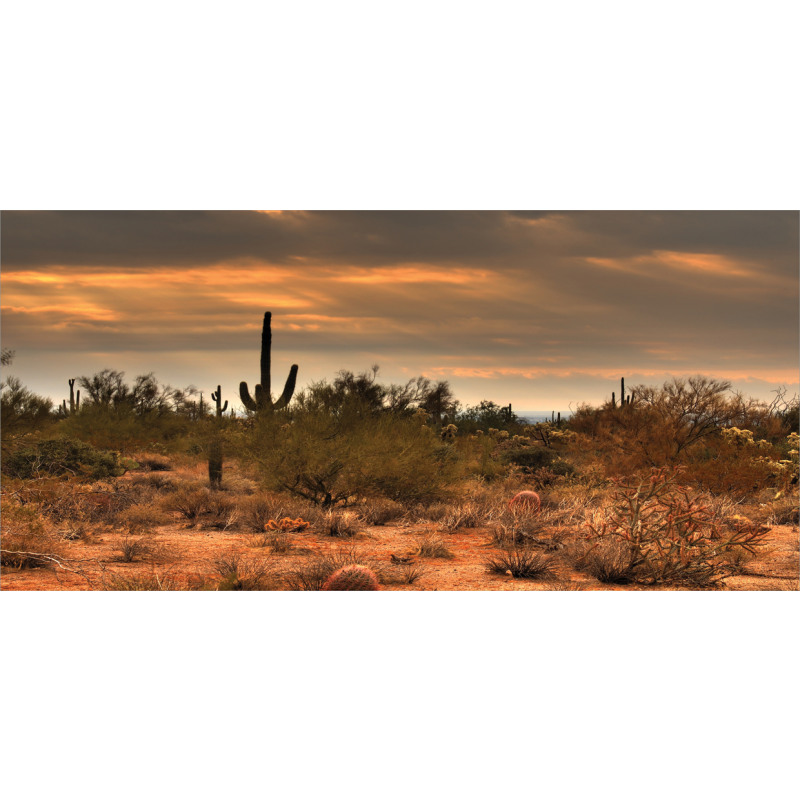 Dramatic Shady Desert Mug